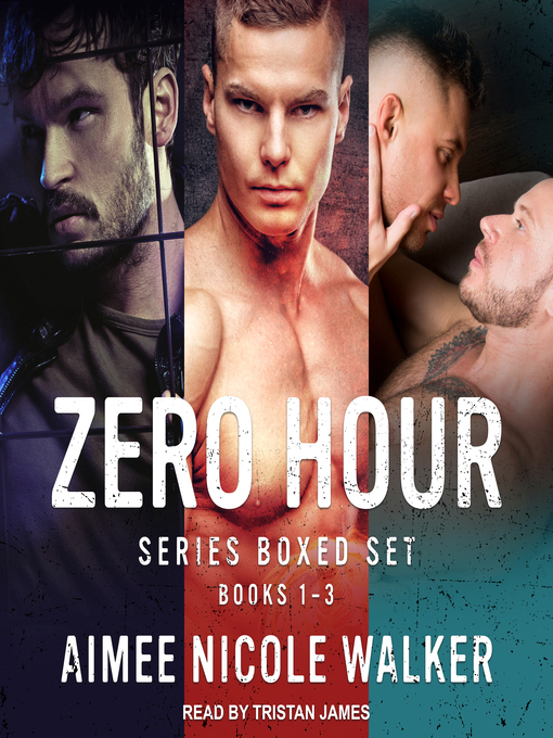 Title details for Zero Hour Series Boxed Set by Aimee Nicole Walker - Available